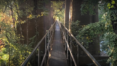 A narrow metal bridge surrounded by trees, leading into a sunlit path in a serene natural setting.