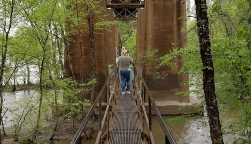 A person walks on a metal bridge surrounded by lush green trees and water, with large pillars in the background.