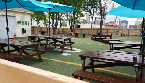 Outdoor seating area with wooden picnic tables and blue umbrellas on green turf, surrounded by trees and a fence.