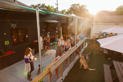 A lively outdoor space with people enjoying food and drinks, dogs playing, and a sunset in the background.