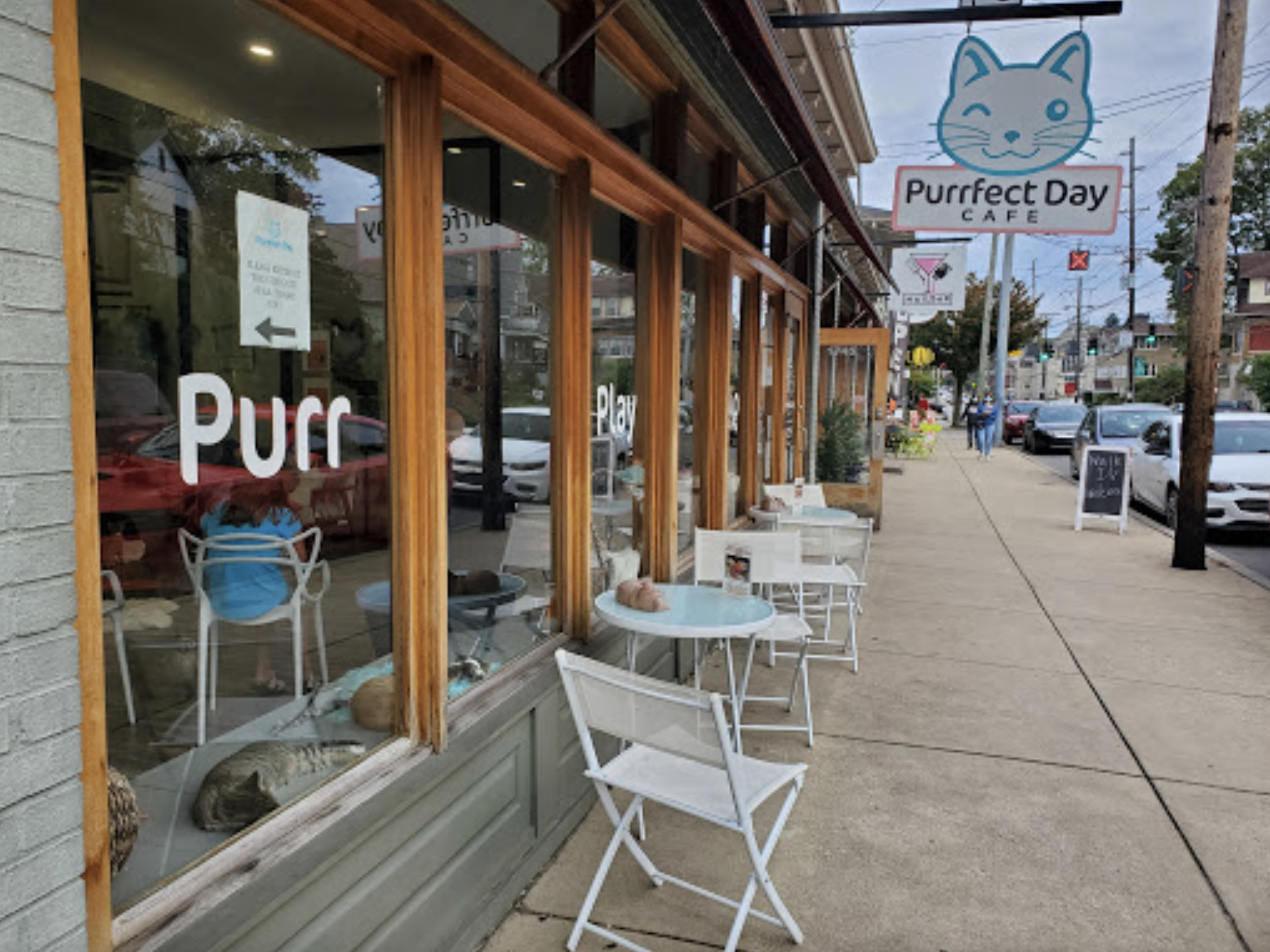 Purrfect Day Cat Cafe