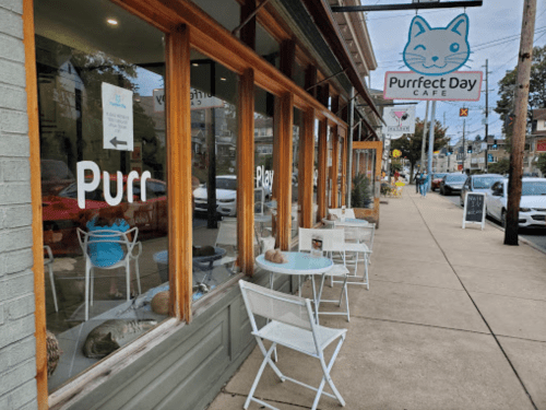 A cozy cat café with a sign, outdoor seating, and cats visible through large windows.