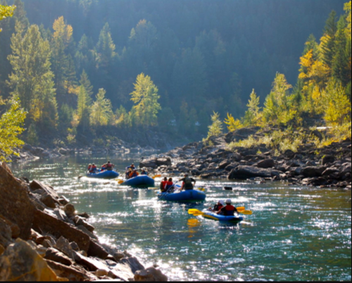 A group of kayakers paddles down a serene river surrounded by autumn-colored trees and rocky banks.