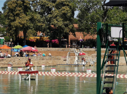 A sunny pool area with people relaxing under umbrellas, a diving board, and a lifeguard on duty.