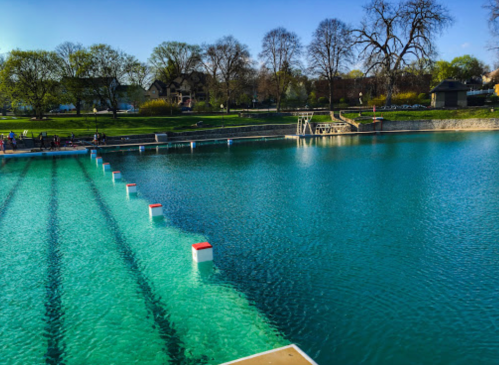 A serene outdoor swimming pool with clear blue water, surrounded by trees and a grassy area on a sunny day.