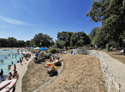 A sunny park scene with a crowded pool, people lounging on the grass, and trees in the background.