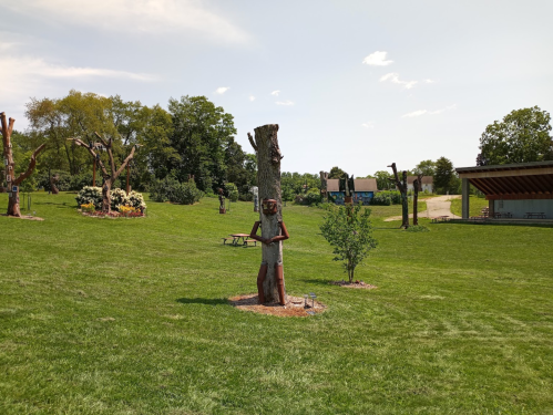 A grassy park featuring carved tree sculptures and a pavilion in the background under a clear blue sky.