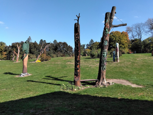 A grassy park featuring several carved wooden totem poles and sculptures under a clear blue sky.