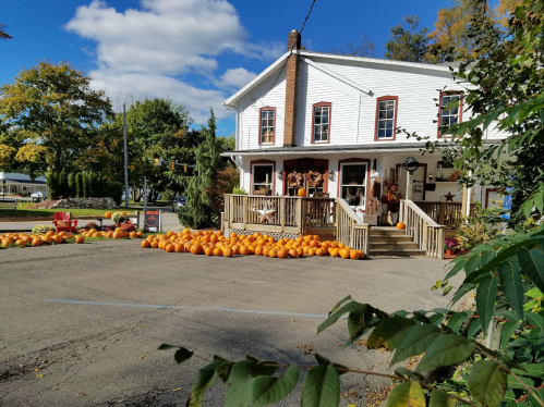 A charming white house with a porch, surrounded by orange pumpkins and autumn foliage under a blue sky.