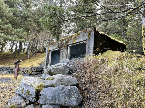 A moss-covered concrete structure nestled among trees and rocks, with two dark openings facing the viewer.