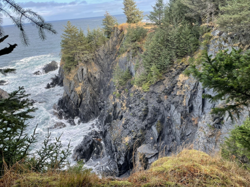 A rocky coastline with waves crashing against cliffs, surrounded by evergreen trees under a cloudy sky.