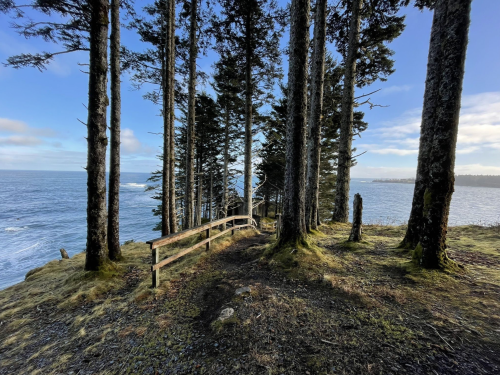 A scenic path through tall trees leading to a coastal view of the ocean under a clear blue sky.