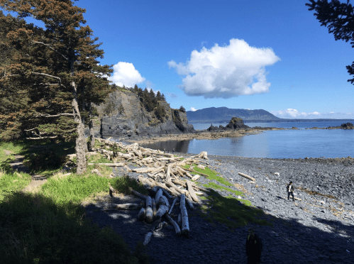 A scenic coastal view with rocky shore, driftwood, trees, and mountains under a blue sky with fluffy clouds.
