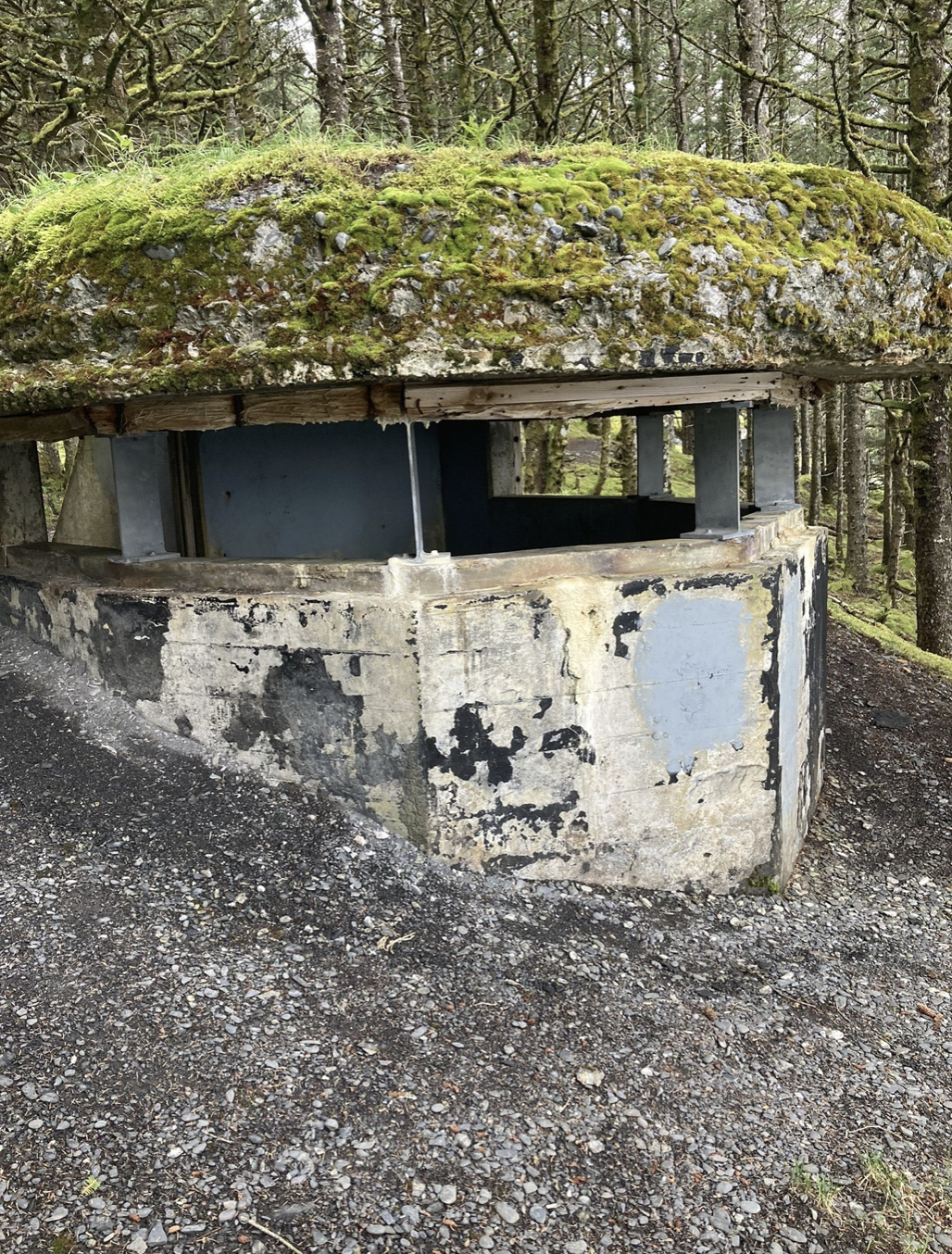 A Woodland Trail In Alaska Will Take You To The Fort Abercrombie Ruins, image size:1028x1354