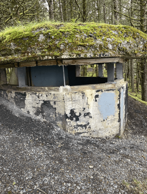 A weathered concrete structure with a moss-covered roof, surrounded by trees and gravel.