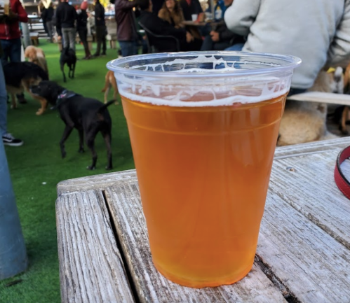 A clear plastic cup filled with amber beer sits on a wooden table, with dogs and people in the background.