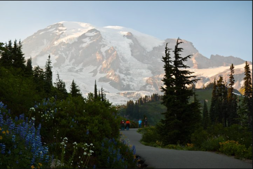 A scenic mountain view with snow-capped peaks, surrounded by lush greenery and colorful wildflowers along a winding path.