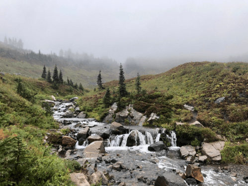 A misty landscape featuring a flowing stream, rocky terrain, and scattered evergreen trees amidst lush greenery.