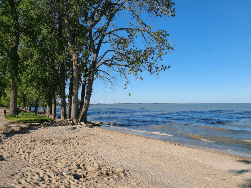 A serene beach scene with sandy shore, trees lining the coast, and calm waves under a clear blue sky.