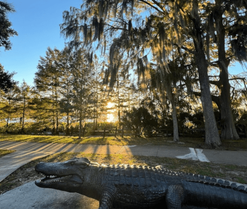 A sculpture of an alligator in a park, with trees and a sunset in the background casting long shadows.