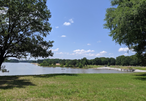 A serene lakeside view with green grass, trees, and a clear blue sky dotted with clouds.