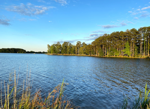 A serene lake surrounded by trees under a clear blue sky, with gentle ripples on the water's surface.