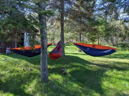 Three colorful hammocks are suspended between trees in a grassy area, with a shed visible in the background.