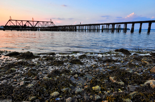 A wooden pier extends over calm waters, with rocky shore and seaweed in the foreground, under a colorful sunset sky.