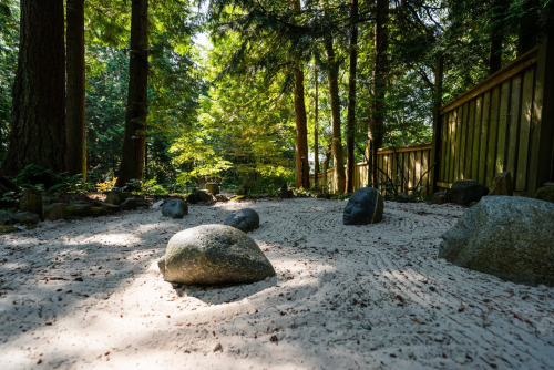 A serene garden scene with sand, rocks, and trees, creating a peaceful, natural atmosphere.