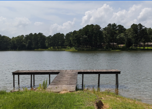 A wooden dock extends into a calm lake, surrounded by lush greenery and trees under a partly cloudy sky.