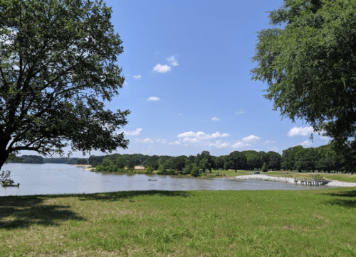 A serene lakeside view with green grass, trees, and a clear blue sky dotted with clouds.
