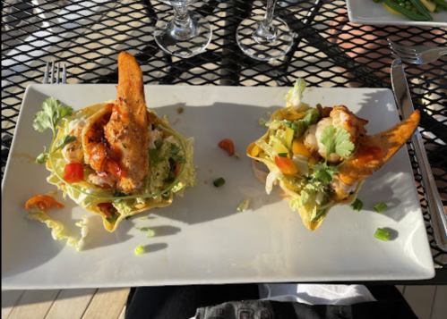 Two colorful taco salads with crispy tortilla shells, filled with lettuce, tomatoes, chicken, and garnished with cilantro.