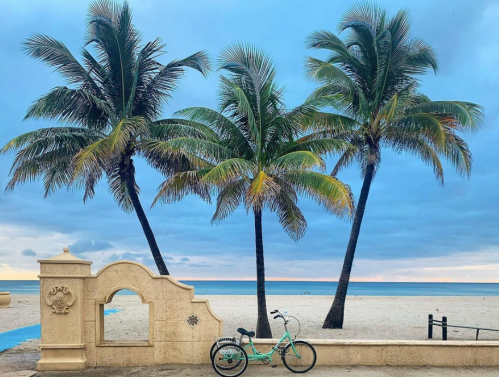 A turquoise bicycle rests near palm trees on a sandy beach under a cloudy sky.