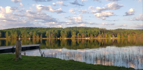 A serene lake surrounded by lush green trees and a cloudy sky, reflecting the landscape on calm water.