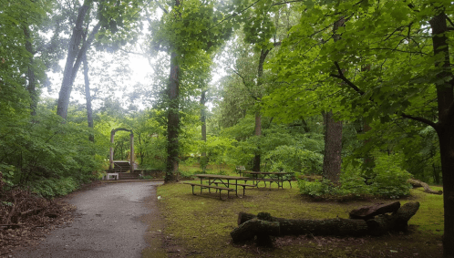 A serene park scene with lush green trees, a pathway, picnic tables, and a small bridge in the background.
