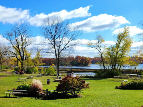 A serene park scene with trees, a lake, and colorful autumn foliage under a bright blue sky with fluffy clouds.