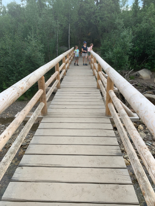 Two children stand on a wooden bridge surrounded by greenery, with a forested area in the background.