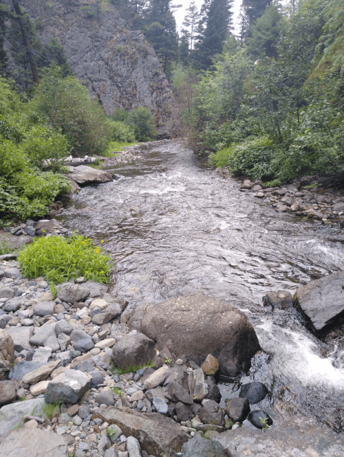 A serene river flows through a rocky landscape, surrounded by lush greenery and steep, forested hills.