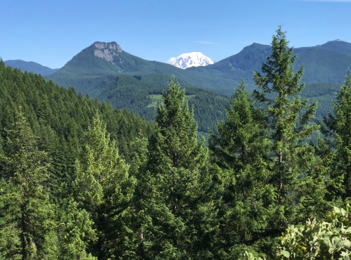 A scenic view of lush green mountains with a snow-capped peak in the distance under a clear blue sky.