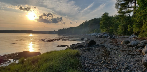 Sunset over a calm shoreline, with rocky beach, lush greenery, and gentle waves reflecting the golden light.