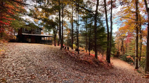 A cozy cabin surrounded by colorful autumn foliage and a gravel path leading into the woods.