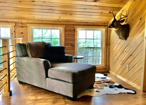 Cozy wooden room featuring a chaise lounge, a decorative deer head, and large windows with natural light.