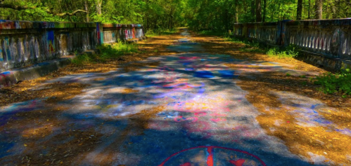 A colorful, graffiti-covered path leads through a lush, green forest, with sunlight filtering through the trees.