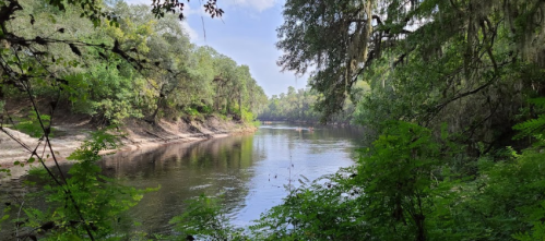 A serene river flows through lush greenery, with trees lining the banks under a clear blue sky.