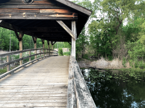 A wooden bridge leads over a calm pond, surrounded by lush greenery and trees.