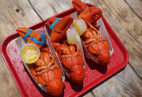 Three cooked lobsters on a red tray, each with a small cup of melted butter and colorful rubber bands on their claws.