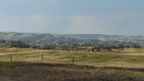 A scenic view of rolling hills and grassy fields under a cloudy sky, with distant trees dotting the landscape.
