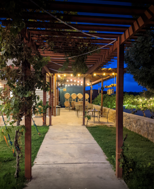 A pathway under a wooden pergola with string lights, leading to a vineyard and wine barrels in the background.