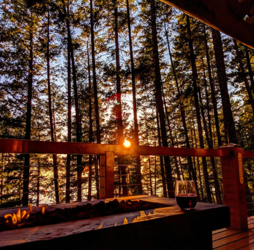 A cozy outdoor scene with a glass of wine on a wooden table, surrounded by tall trees at sunset.