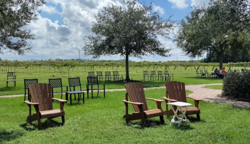 Two wooden chairs and a small table on green grass, with vineyards and a blue sky in the background.
